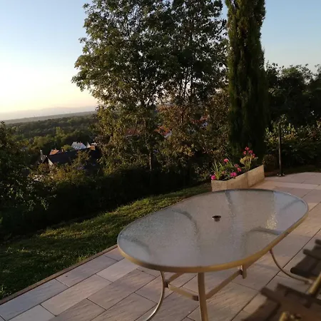Apartment Haus Roth Bad Bellingen